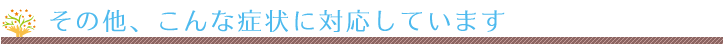 その他、こんな症状に対応しています